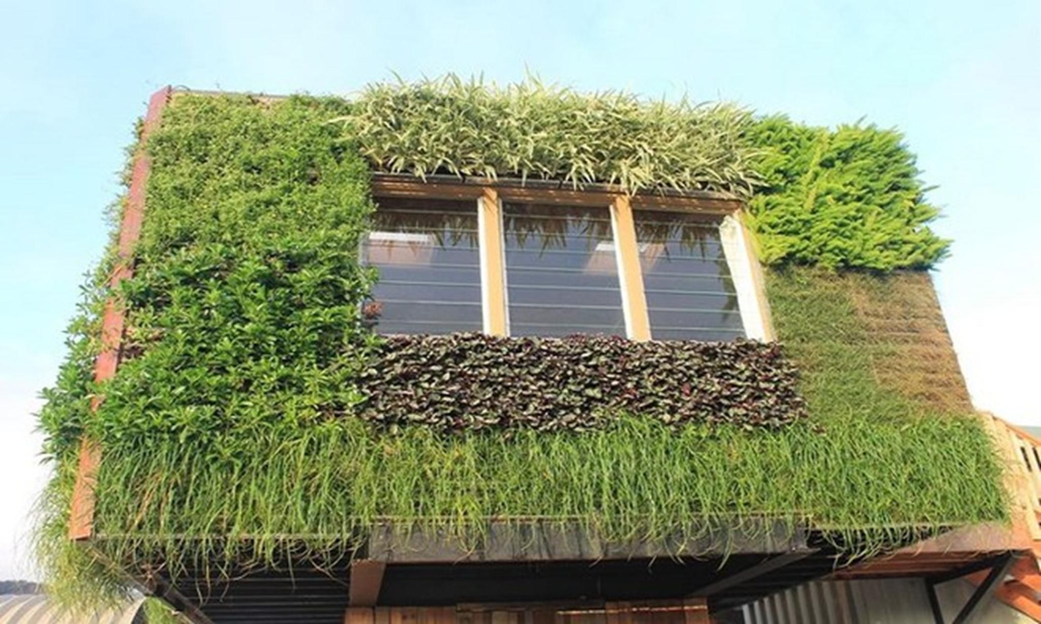 夏威夷创意“树屋”设计，绿意盎然-6