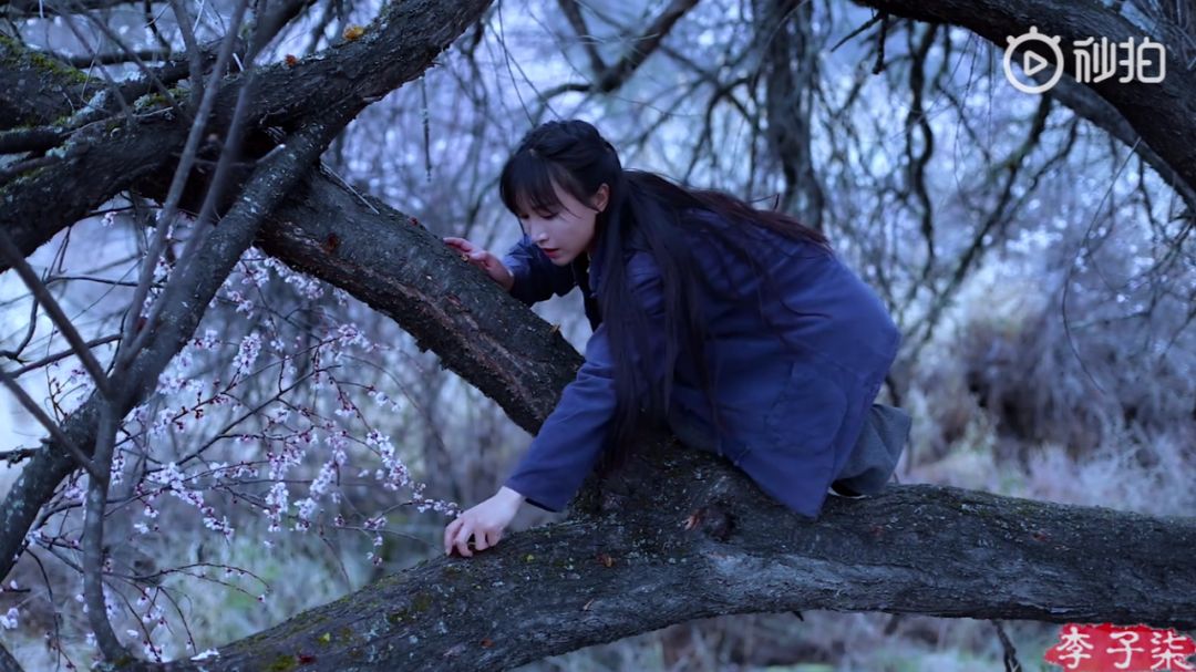 李子柒家居搭配揭秘 | 世外桃源的创意设计-28