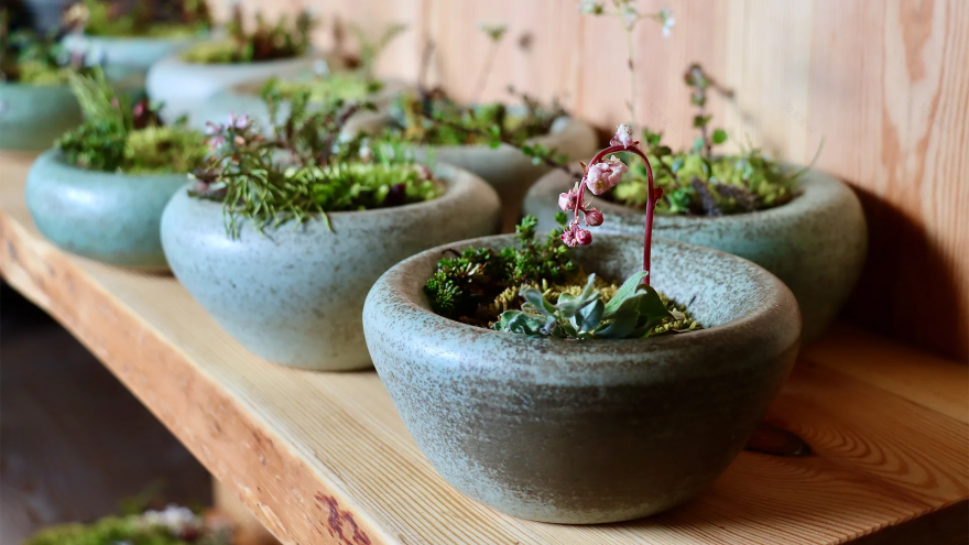 KOKS 餐厅丨Poul Andrias Ziska-119