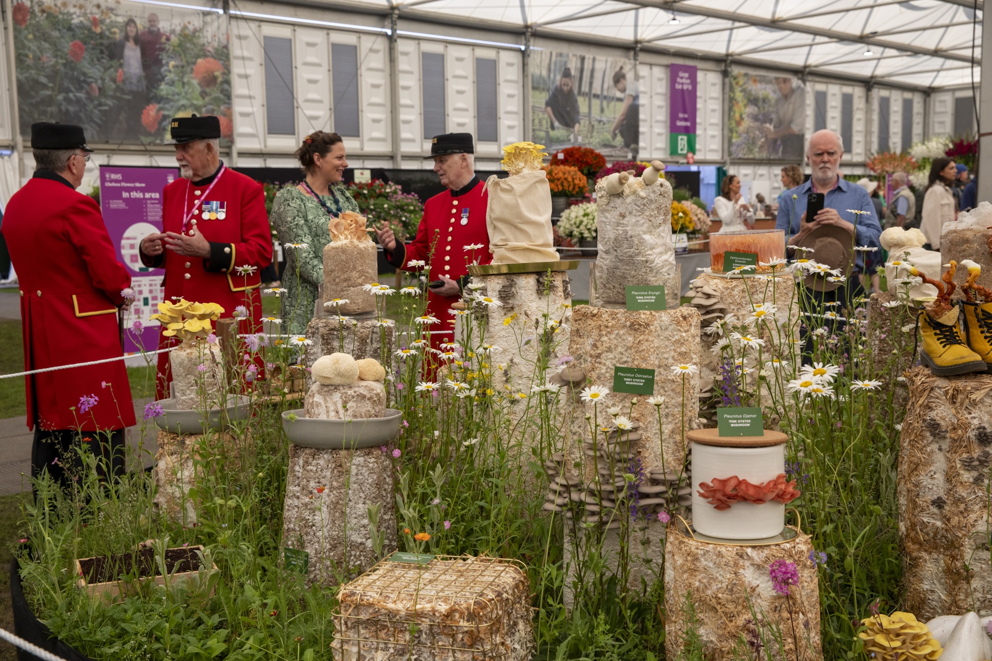 2024切尔西花园展获奖作品丨英国丨Royal Horticultural Society-477