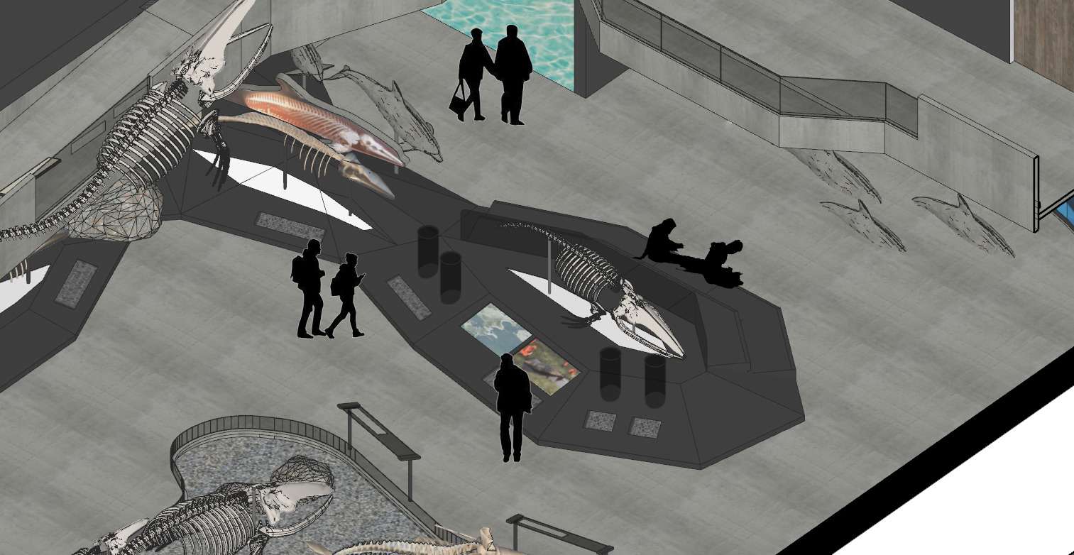 Taijiang the whale 2·0·台江鲸鱼标本馆改造设计丨DEAN DESIGN-20