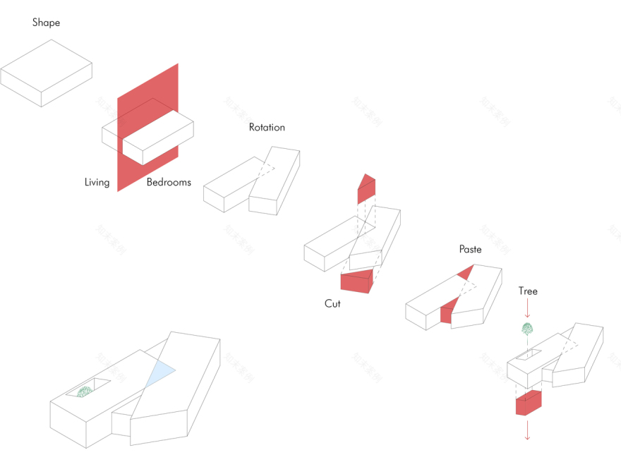 Diamond Tree(钻石树)-87