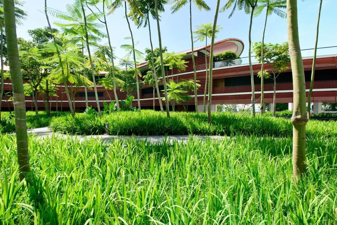 嘉佩乐酒店丨多个设计公司-135