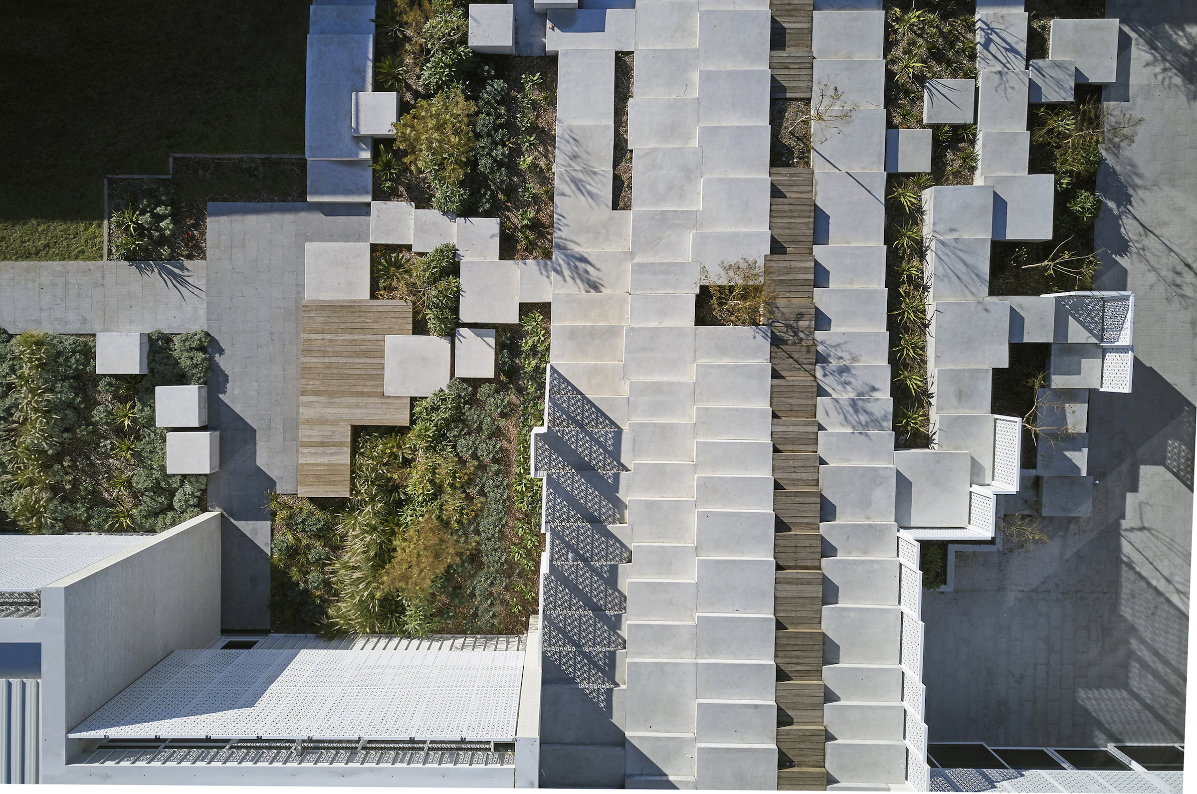 创意景观学习空间 · “巨人之路”融入圣弗朗西斯泽维尔学院-3