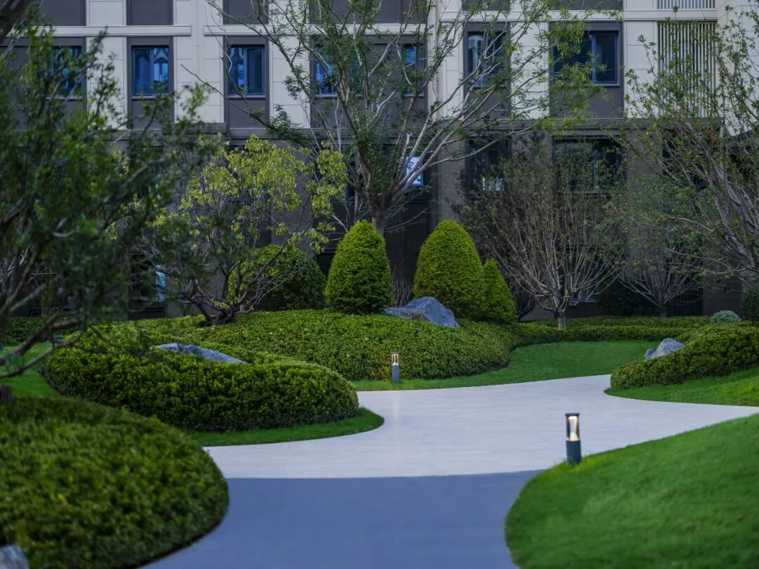 邯郸 · 天正 · 凤鸣九章丨中国河北丨麦田景观-46