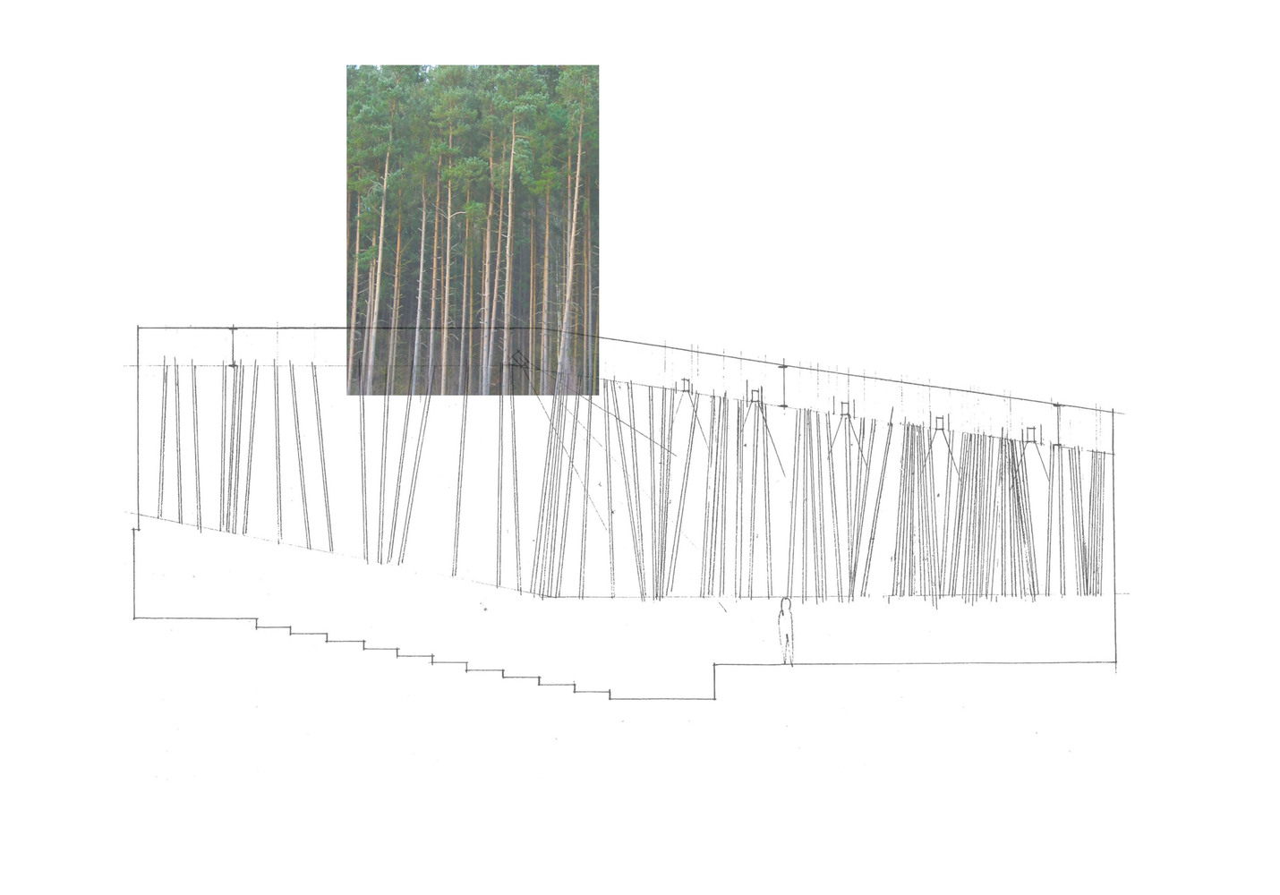 William M· Lowman 音乐会厅-51