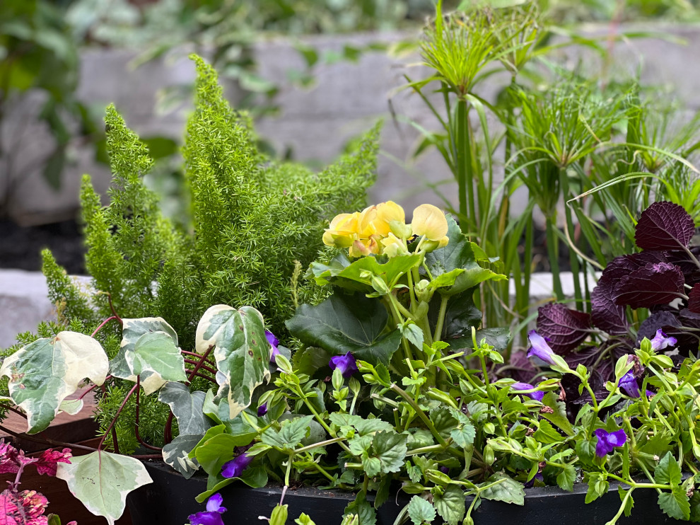 Williamsburg新公寓荫蔽花园丨美国纽约-40