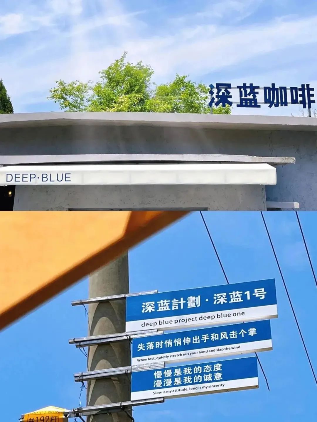 【设计思路】最潮乡村振兴赚年轻人的钱-21