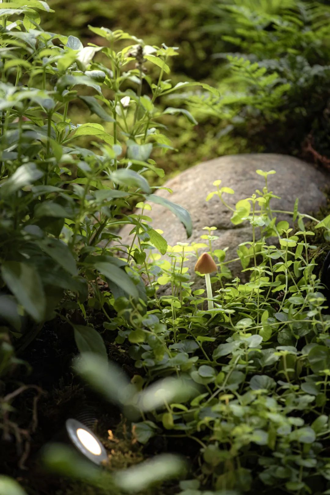 喜随作品|壶中胜境·商业中庭的科技国风微缩园林-286
