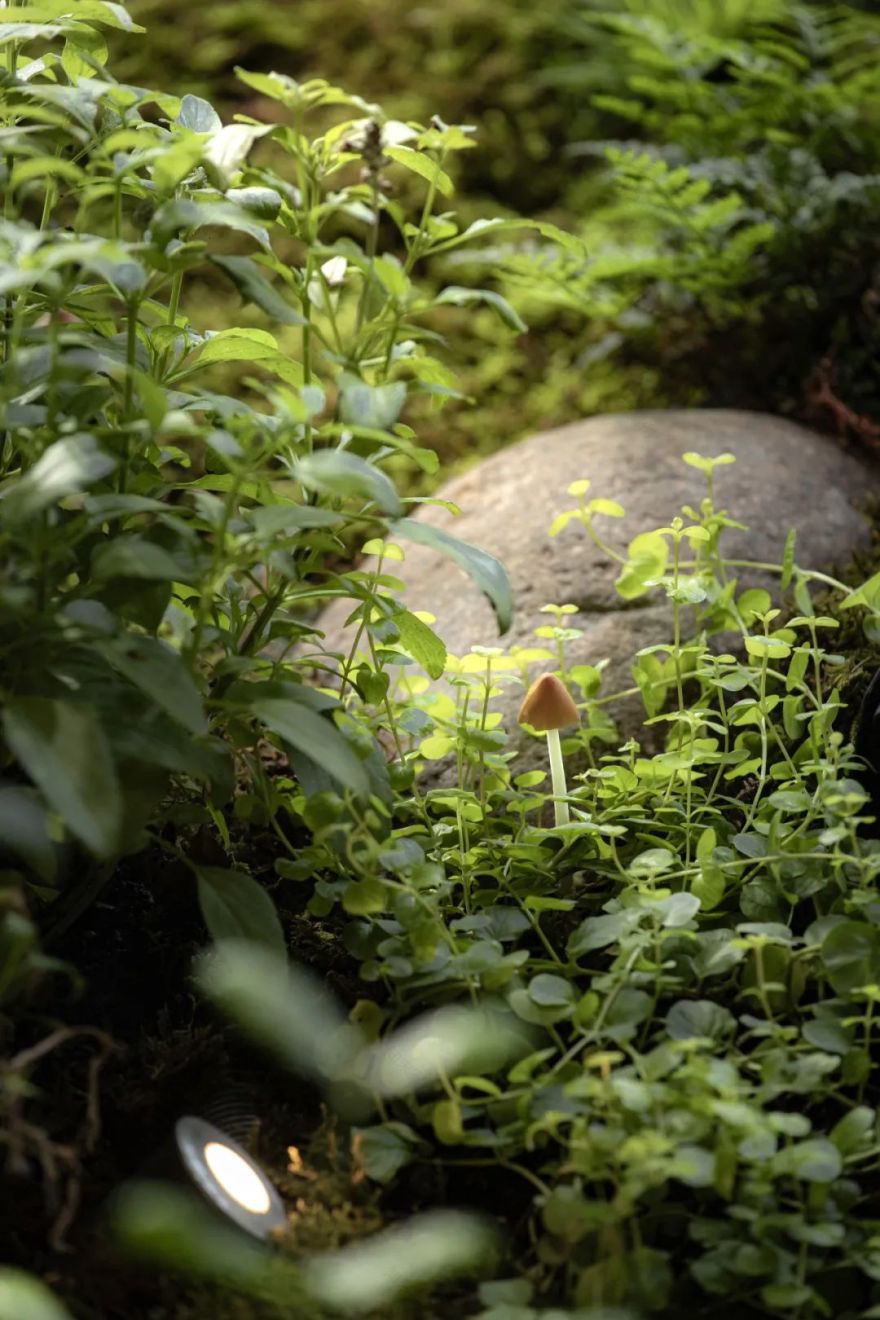 喜随作品|壶中胜境·商业中庭的科技国风微缩园林-286
