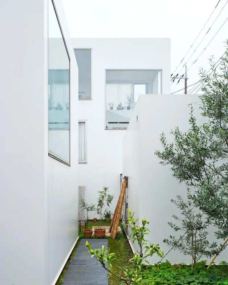 森山邸丨日本东京丨西泽立卫建筑设计事务所-3