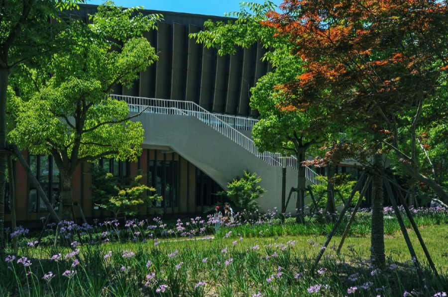 上海科技大学-50