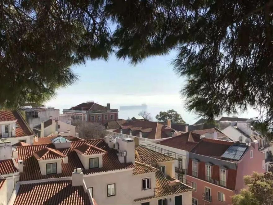 杨茜 | 狮子座设计师的执着与热情-76