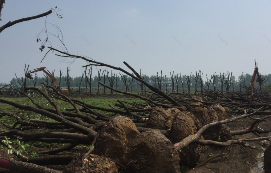 武汉外酒店 后象设计师事务所-53