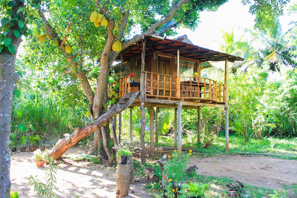 高架木屋Eco  Retreat住宿-11