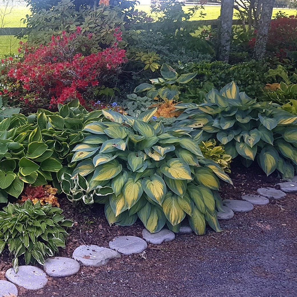 Cairnhill私人花园-12