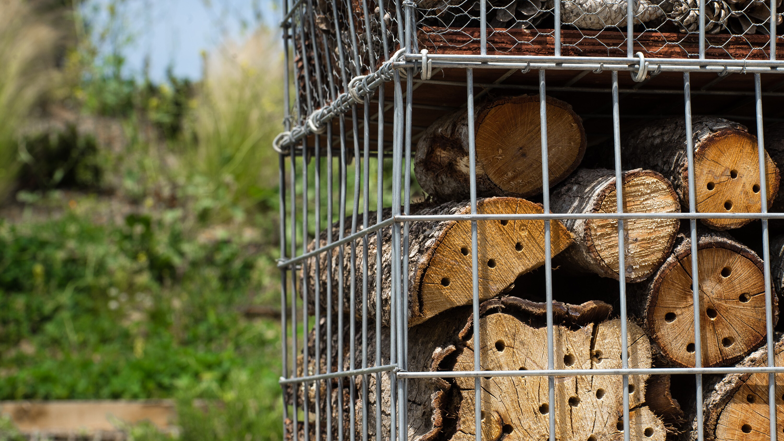 自然之巢 · 昆虫酒店的生态设计-24