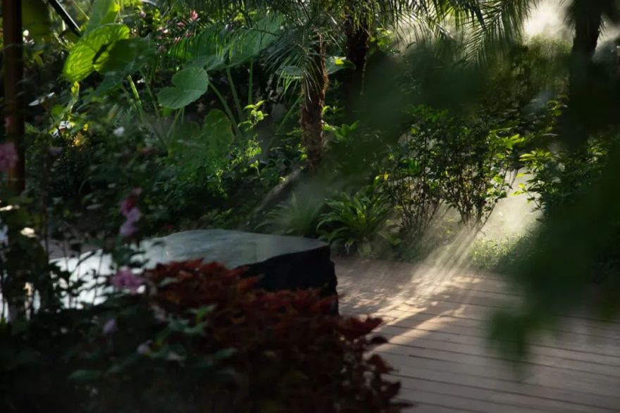 夏日雨林 | 成都德桦·御湖和境-63