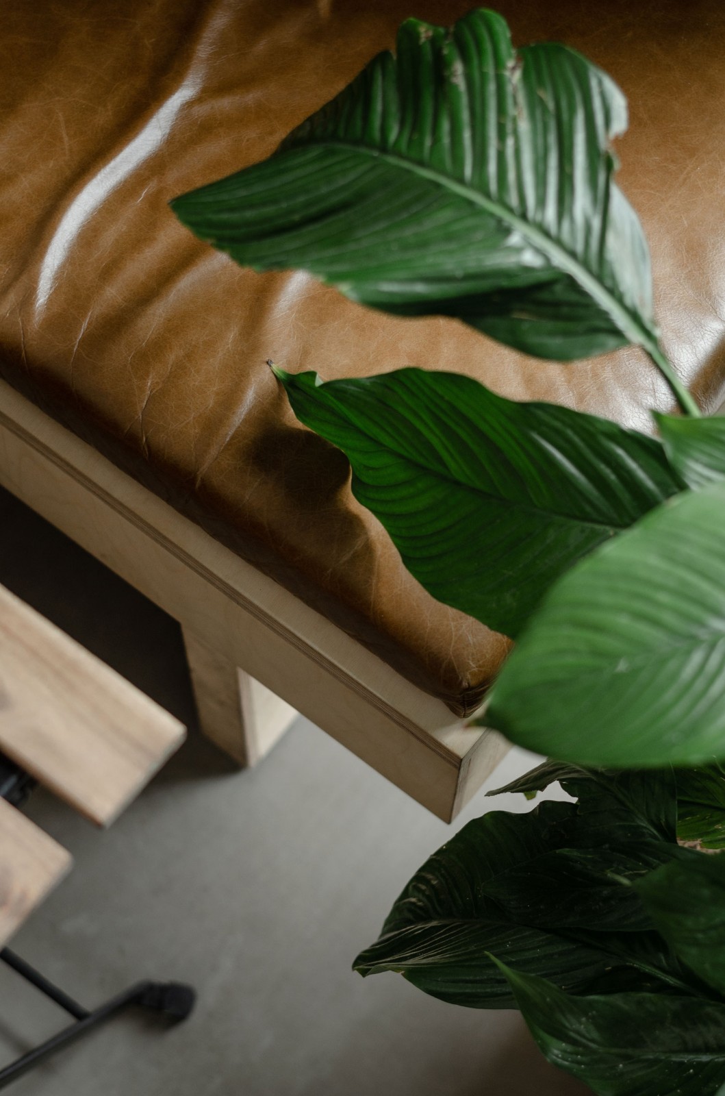 Molodo Zeleno 酒吧-9