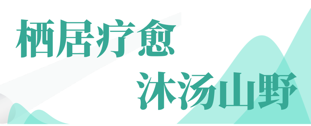 普陀新地标！半山之上，悦椿启幕，开启山海人文活力之旅-21