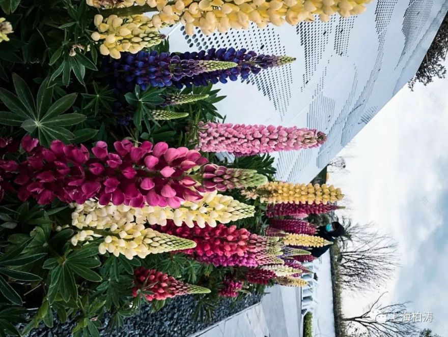 德信·空港城 | 从示范区到艺术基地的蜕变-23