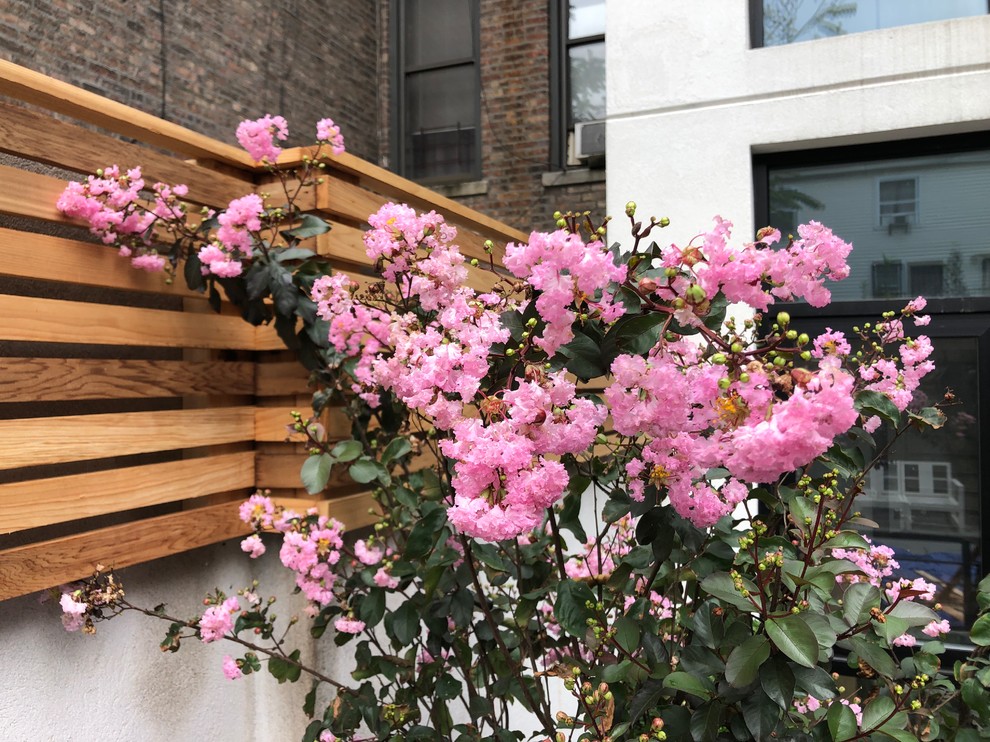 Harlem Modern Townhouse 118-10