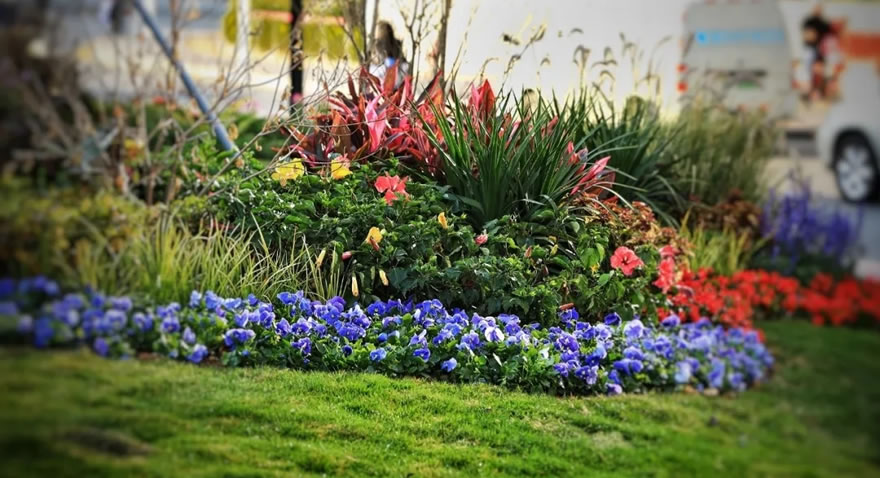 深圳龙华绿廊公园三期丨中国深圳-131