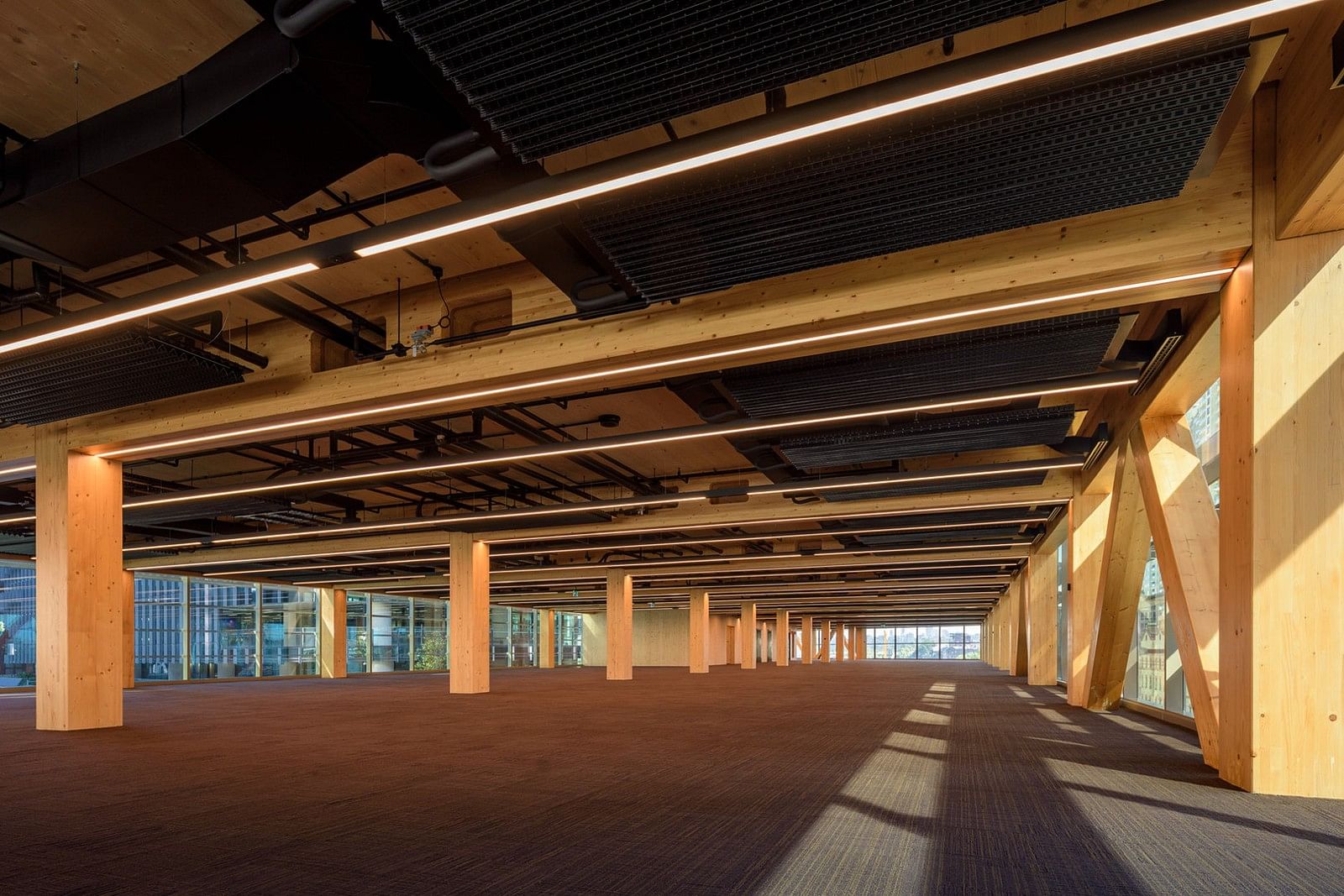 悉尼国际公寓丨澳大利亚悉尼丨Tzannes-23