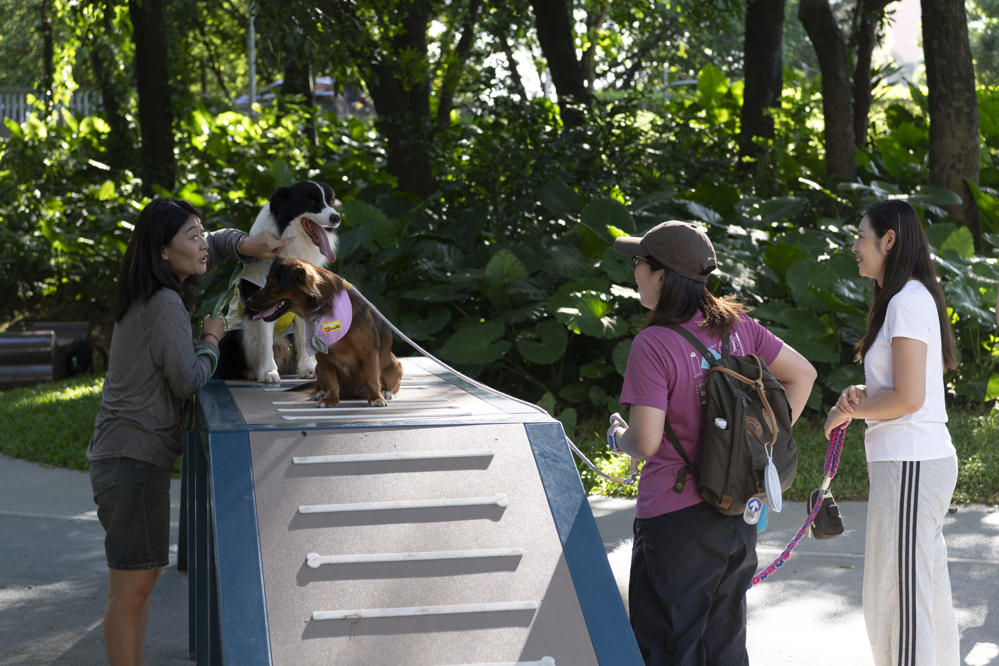 深圳市罗湖泥岗东路宠物友好口袋公园丨中国深圳丨深圳市未名设计顾问有限公司罗湖分公司（WMLA）-48