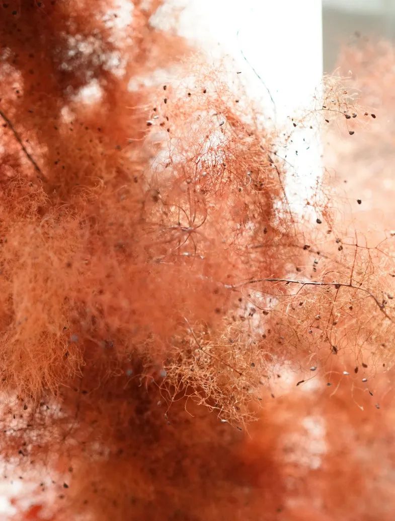 大悦城,绿城·义乌桂语兰庭丨中国浙江丨ZSD卓时-94