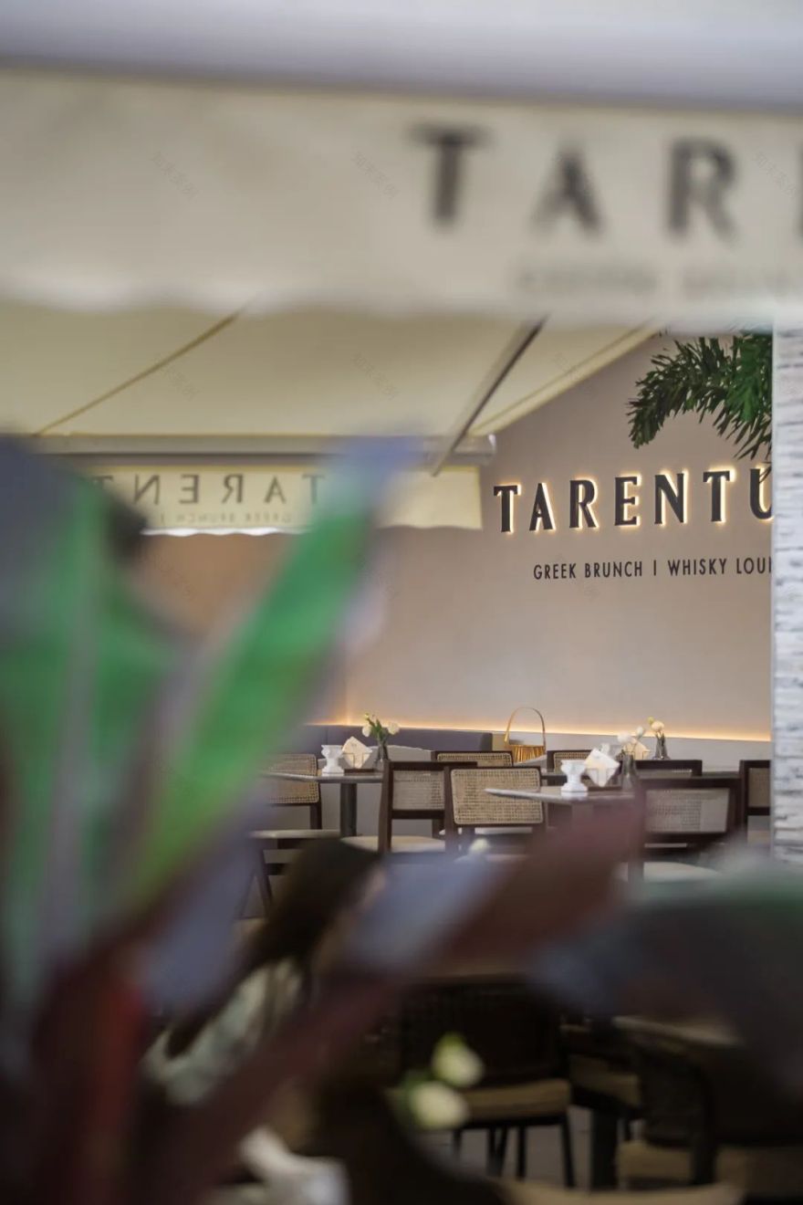 TARENTUM 萄木丨中国深圳丨RBD DESIGN BOX 瑞本设计-23