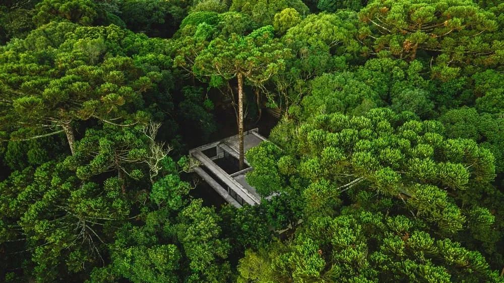 巴西南卡夏斯 Fortunata 之家丨巴西南里奥格兰德-42