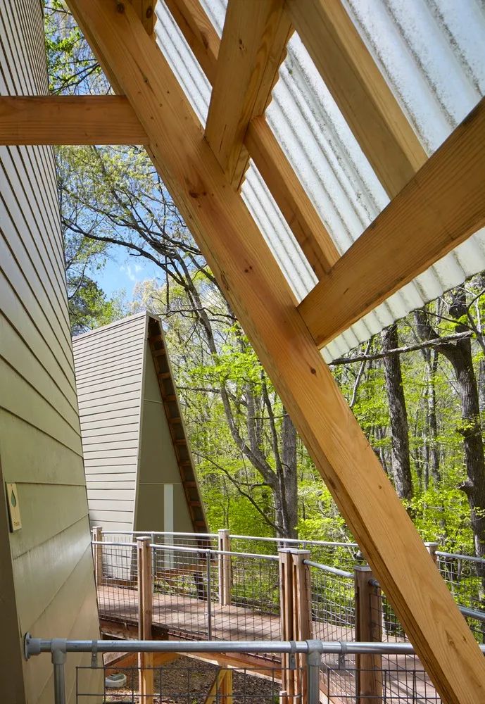 格雷厄姆营地 | 树屋冒险，自然与设计的完美融合-30