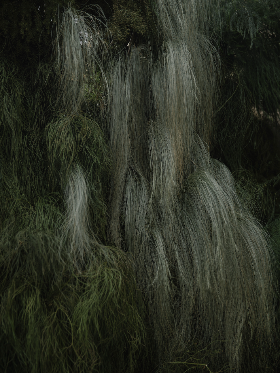 红色爆烈美学，西安大女主给自己的生活独奏剧场-42