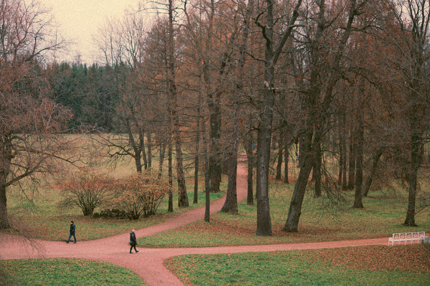 remnants of autumn in Pushkin-7