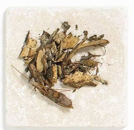 庭院花境中的土壤覆盖物设计与应用-44