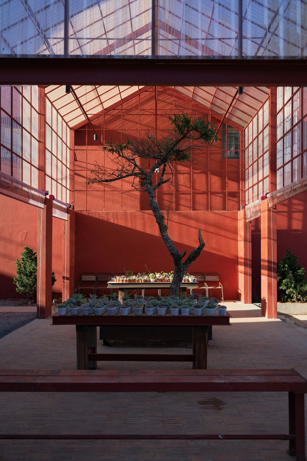 茶香岁月 · 百年茶厂变身为文化博物馆-18