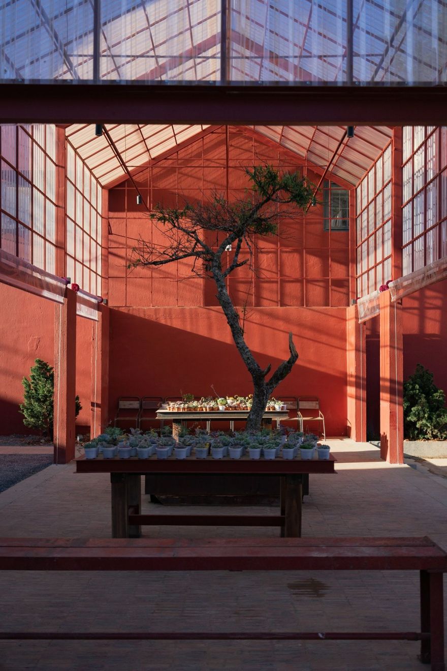 茶香岁月 · 百年茶厂变身为文化博物馆-18