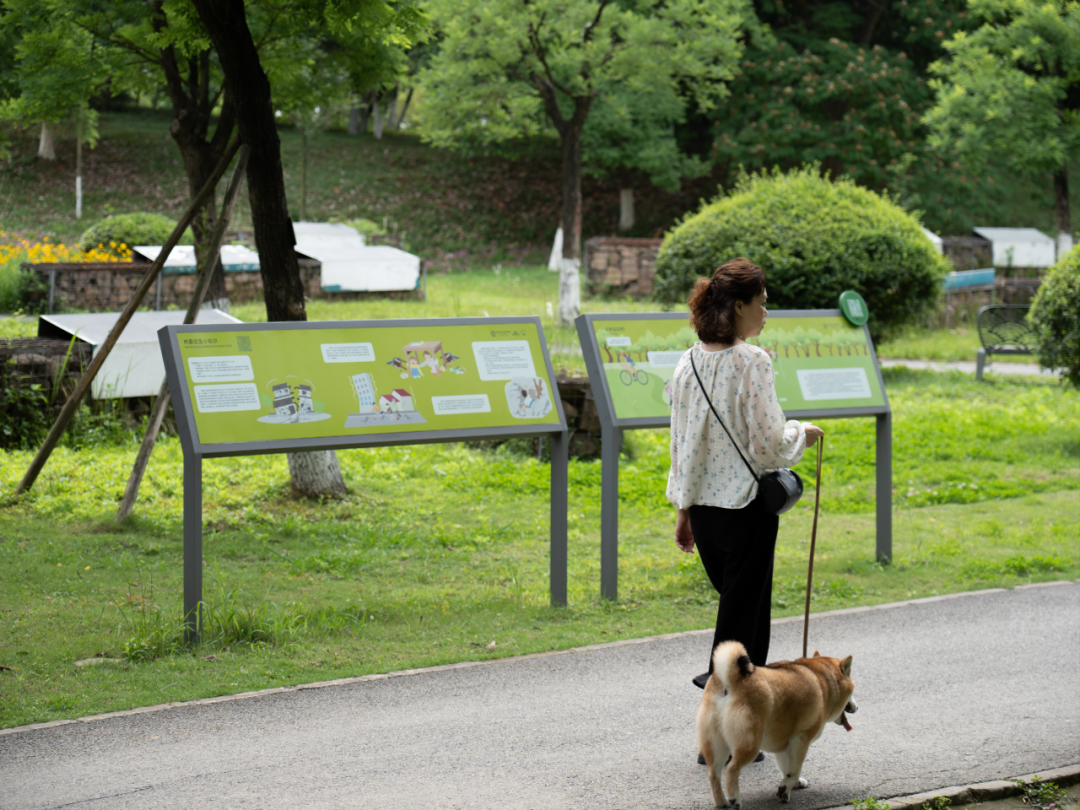 白鹭湾湿地公园自然探索基地丨中国成都丨上海柏熙标识有限公司-30