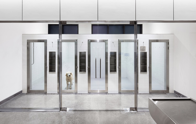 绿洲兽医外科中心 | 功能与美感的完美结合-18