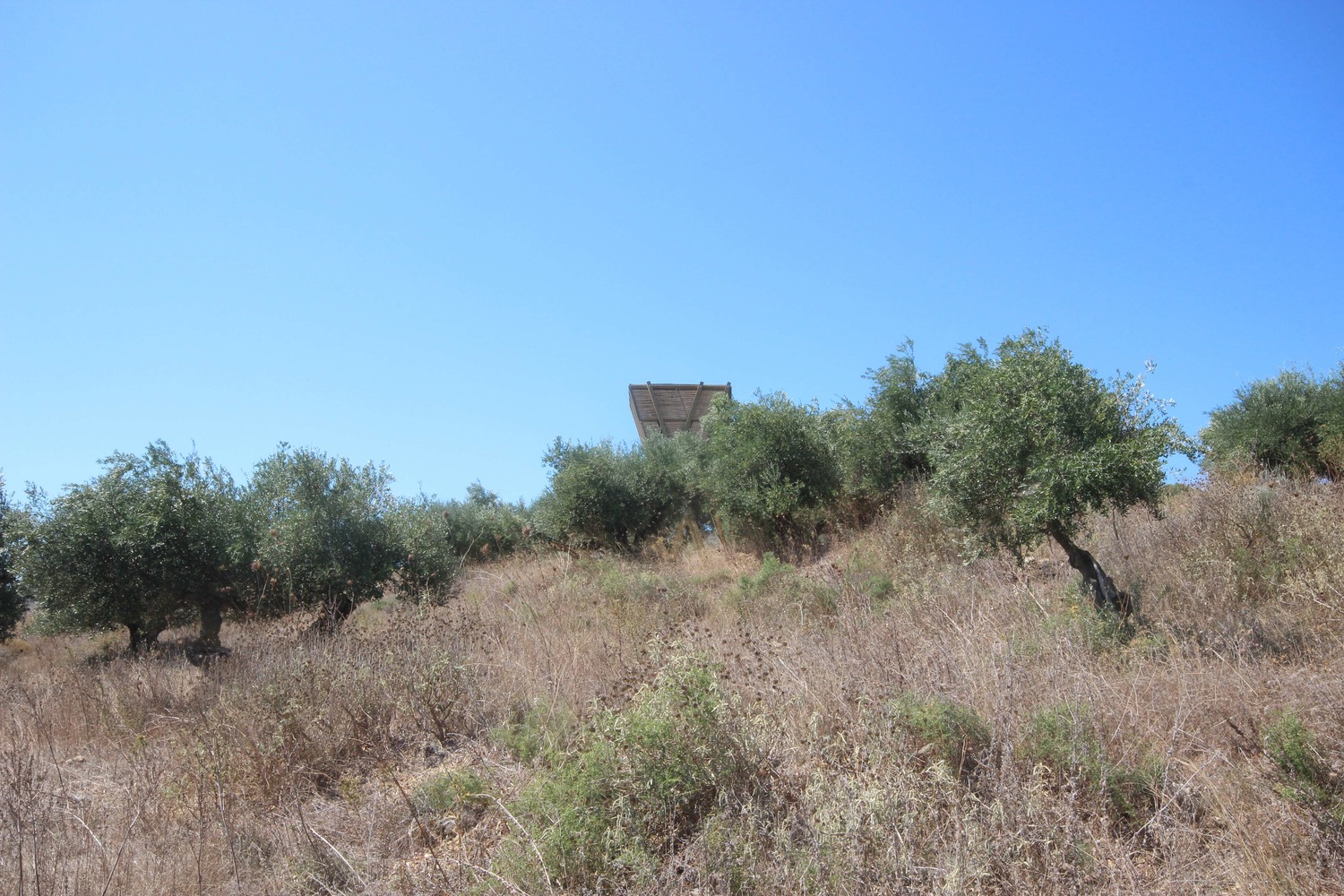 Tragata 临时木结构建筑-45