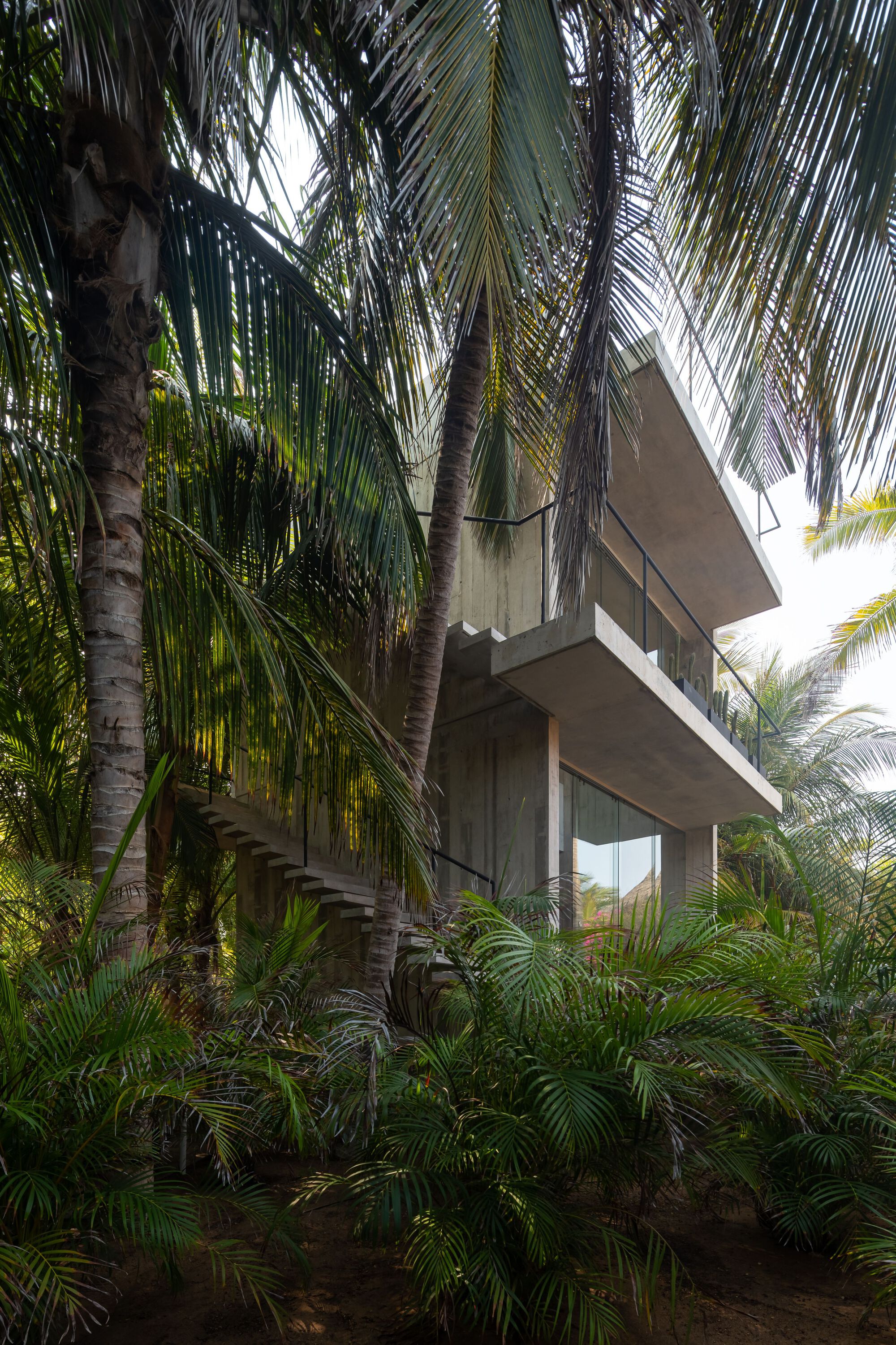 莱里亚之家丨墨西哥瓦哈卡丨TAC Taller Alberto Calleja-33