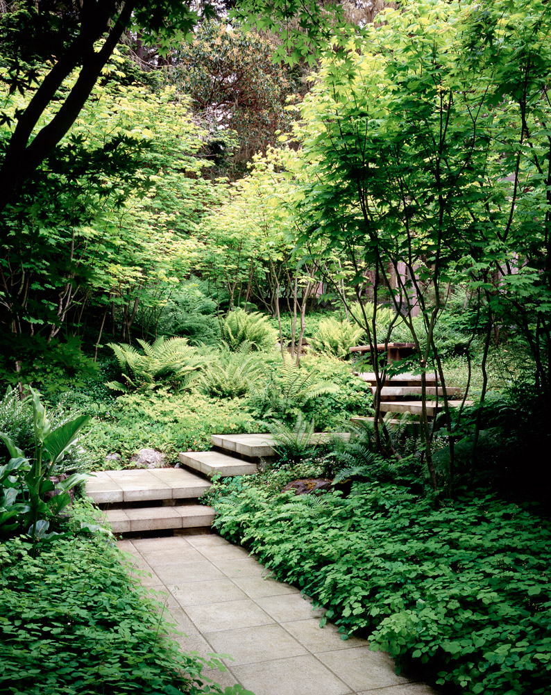 圣胡安岛森林住宅-11