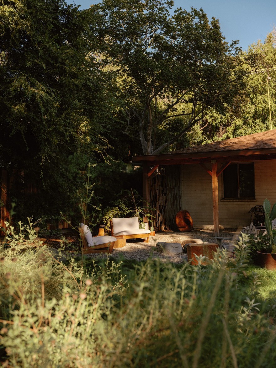 门前野趣丨TERREMOTO-8