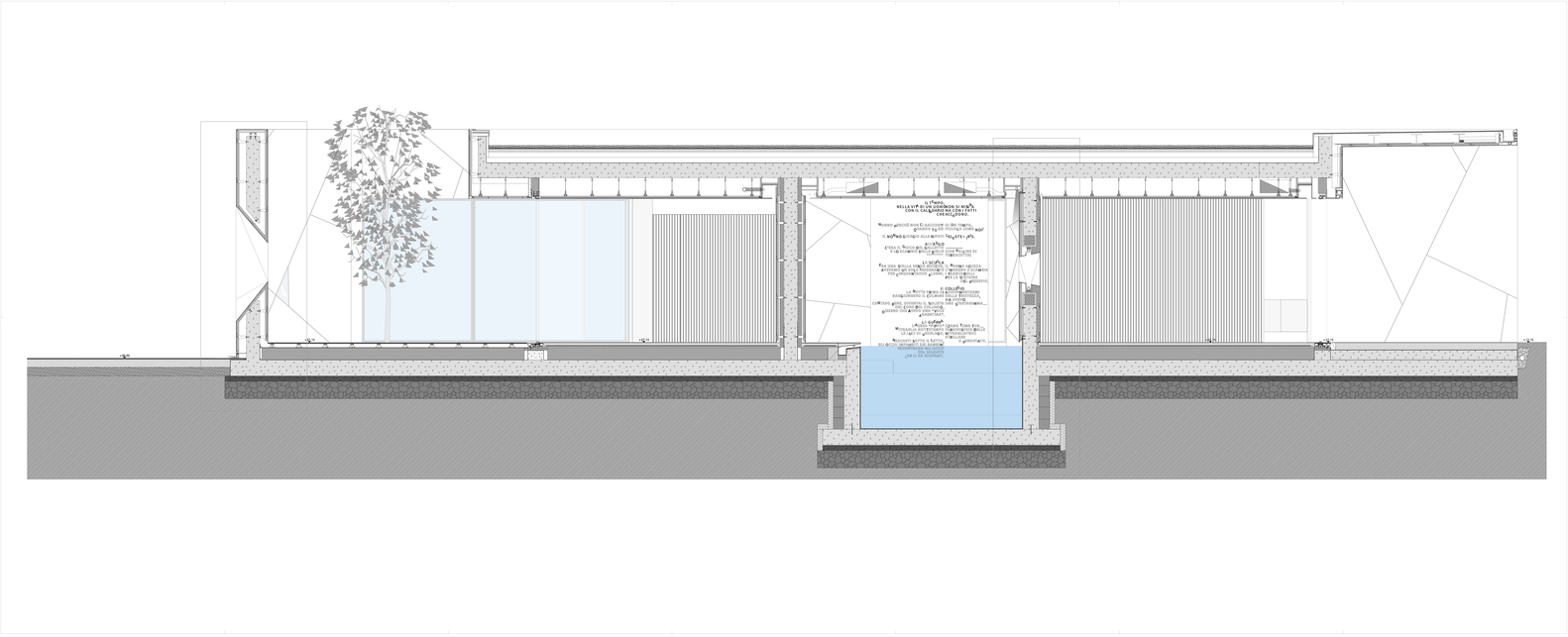 Diamond Tree（钻石树）-9