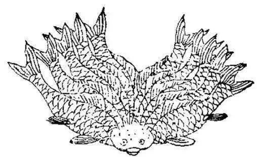 负空间|异托邦,之间的秩序-20