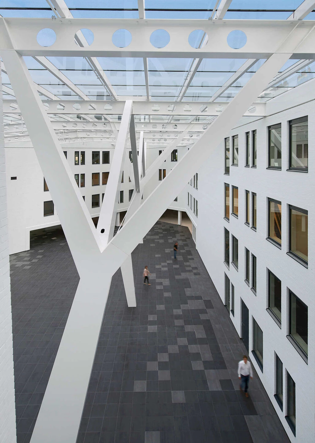 荷兰商务科技创新中心丨Mosa-15