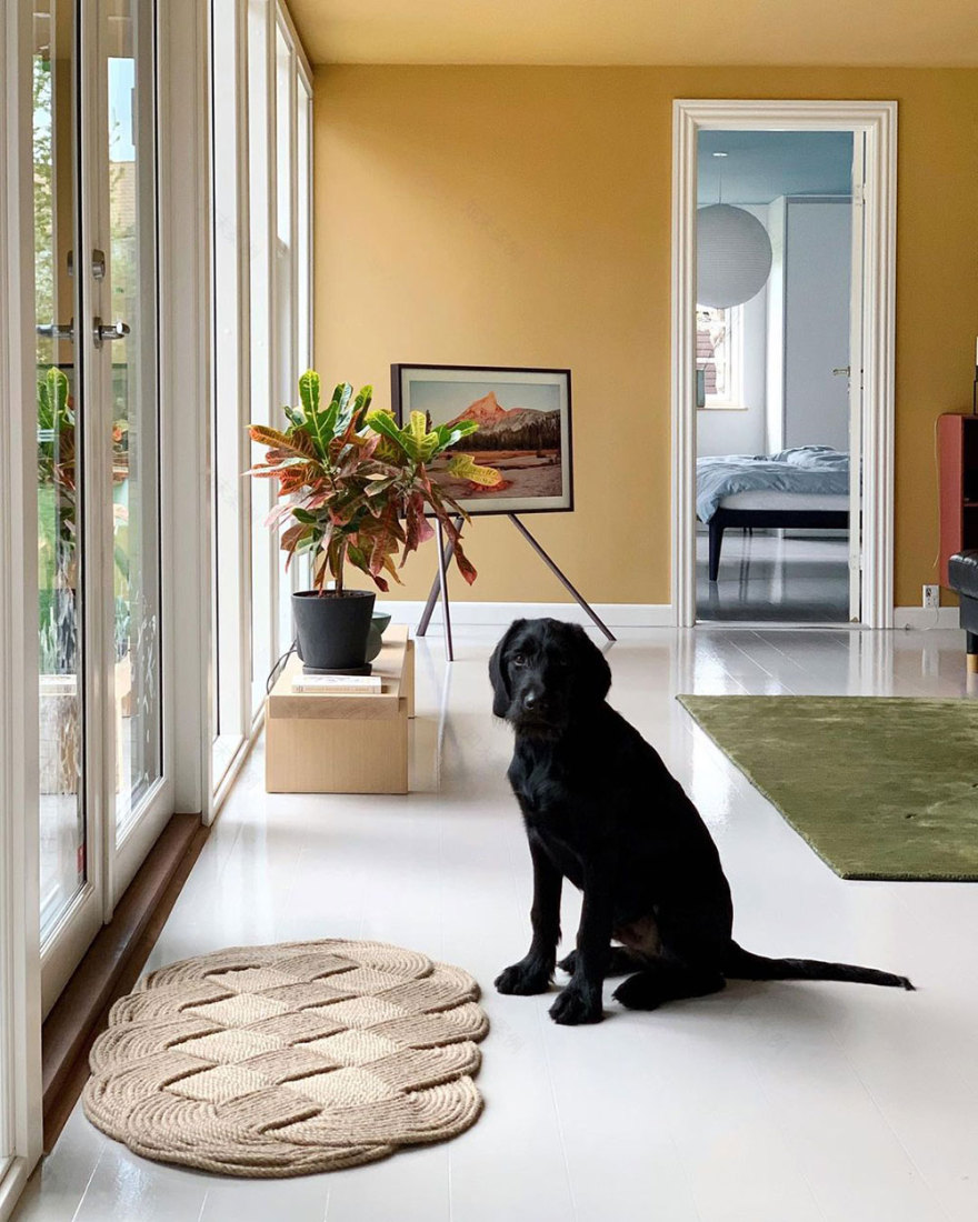 丹麦小屋独特配色,打破传统审美-10