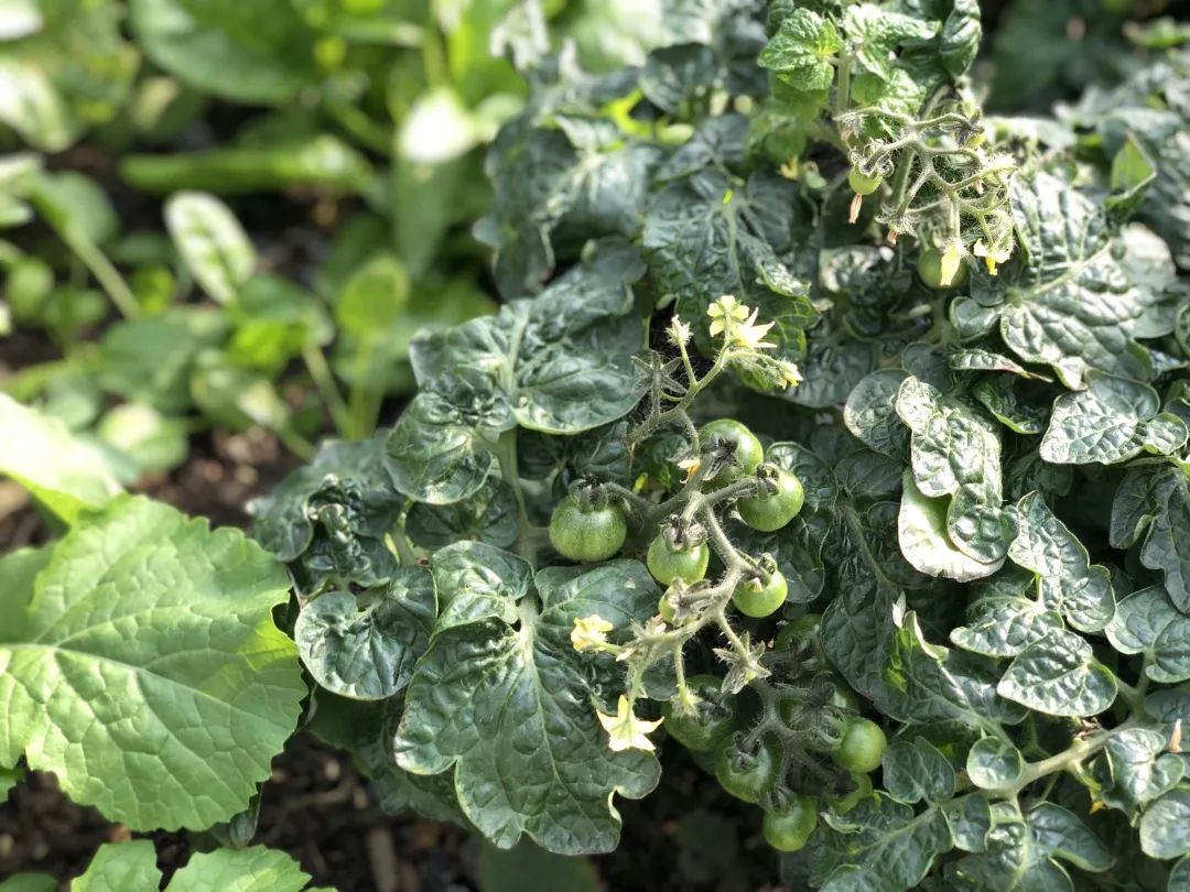 成都创想公社 | 从写字楼到创意仓库的蜕变-111