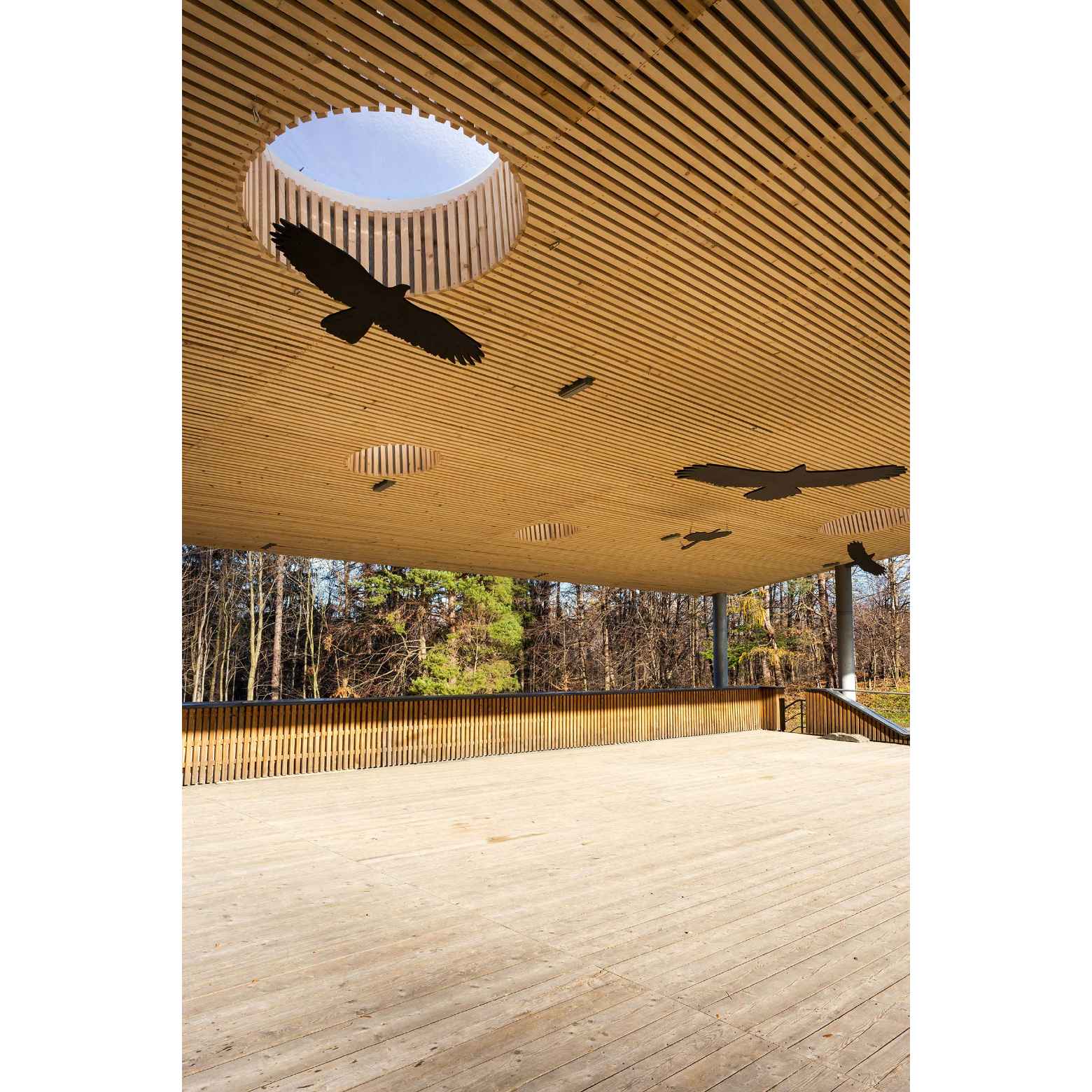 霍雷奇露天剧场屋顶项目丨卡米尔·姆尔瓦建筑师有限公司-23